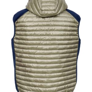 JACKSON	OLIVE