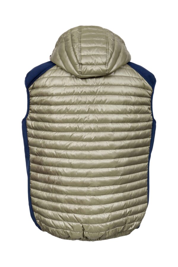 JACKSON	OLIVE